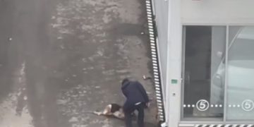 В Краснодаре мужчина напал на собаку