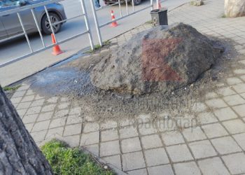 «Могучая кучка» на тротуаре взбудоражила Краснодар