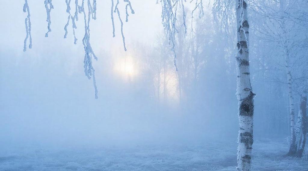 Густые туманы прогнозируют на Кубани в четверг 12 февраля