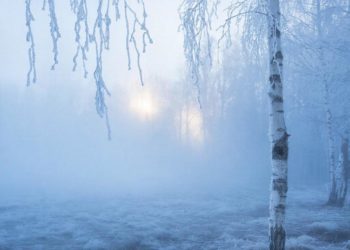 Густые туманы прогнозируют на Кубани в четверг 12 февраля