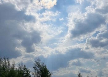 Прогноз погоды на воскресенье 22 февраля на Кубани