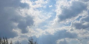 Прогноз погоды на воскресенье 22 февраля на Кубани