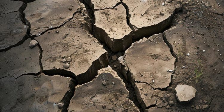 Соцмедиа сообщают о землетрясении в Хостинском районе города Сочи