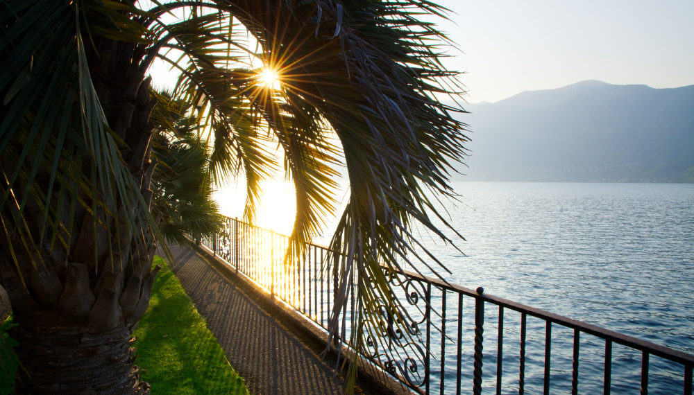 Громко и ответственно: жителей Сочи призвали не пугаться стрельб 30 марта