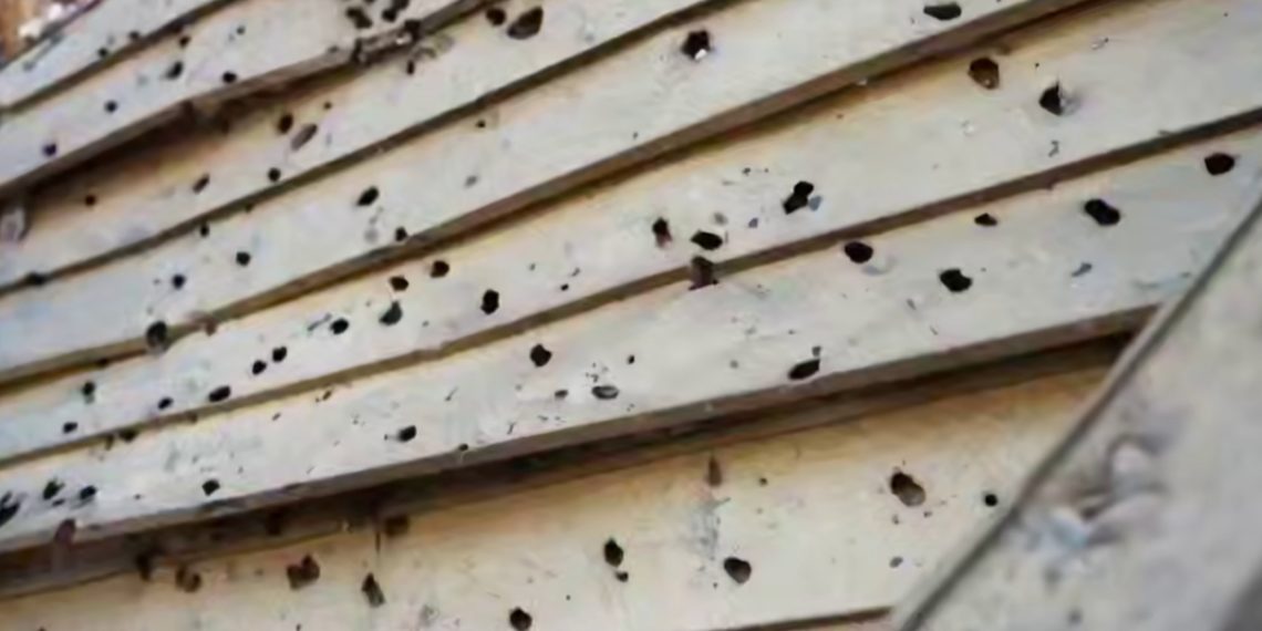 Итоги мощнейшей атаки на Новороссийск и Кубань: что известно утром 3 марта