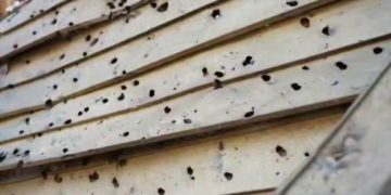 Итоги мощнейшей атаки на Новороссийск и Кубань: что известно утром 3 марта