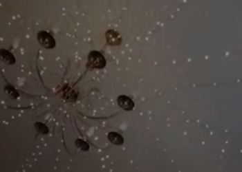 «Тарелки сами танцевали»: сочинцы сняли на видео утренние толчки