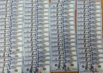 Чемодан, чехол и зеленый коридор: как житель Турции лишился 15 тысяч долларов в Сочи