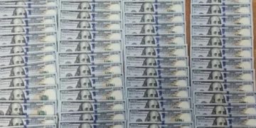 Чемодан, чехол и зеленый коридор: как житель Турции лишился 15 тысяч долларов в Сочи