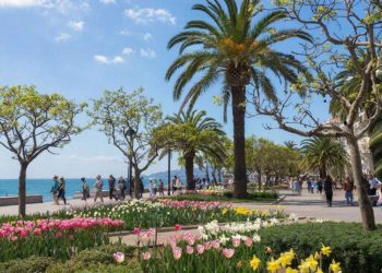 Пятница, 13 марта, порадует кубанцев по-настоящему весенней погодой