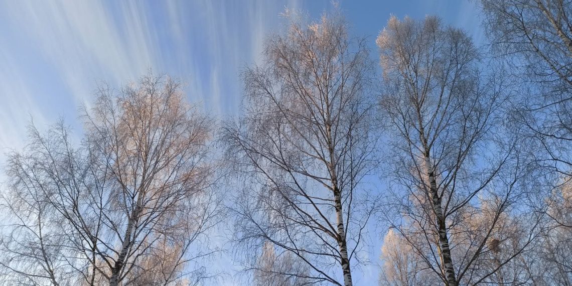Прогноз погоды на вторник 3 марта в Краснодарском крае