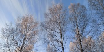 Прогноз погоды на вторник 3 марта в Краснодарском крае