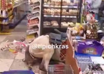 В Сочи мужчина заехал на коне в магазин