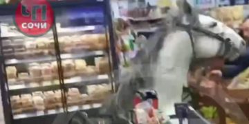 Появились подробности инцидента с конем в магазине в Сочи