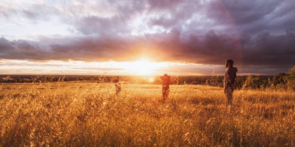 В Краснодарском крае яровыми культурами засеют почти 1,8 млн гектаров