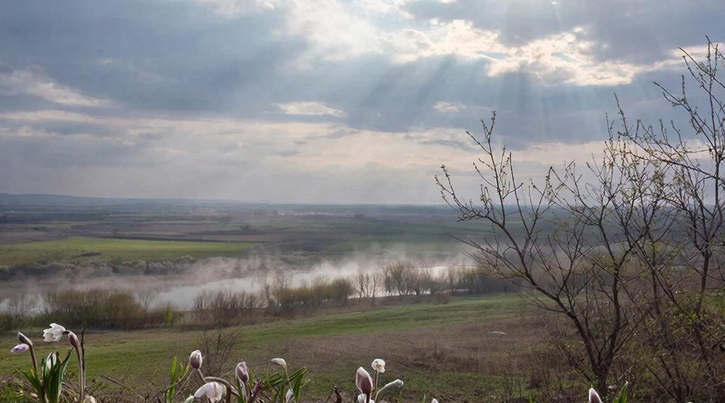 Прогноз погоды на 9 и 10 марта в Краснодарском крае