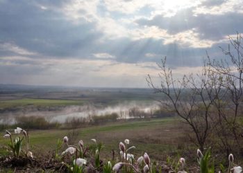 Прогноз погоды на 9 и 10 марта в Краснодарском крае