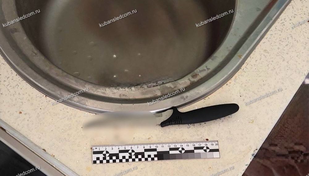 Жительница Анапы зарезала собственную мать в ответ на оскорбления