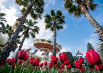 Группа Мантера представила праздничную программу на мартовские выходные