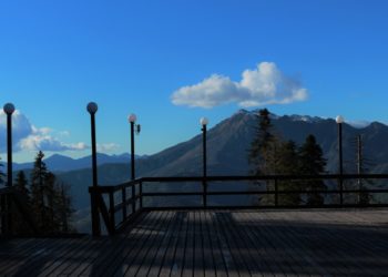 Оплатить парковку на следующий день: в Краснодаре с 1 апреля меняются правила для водителей