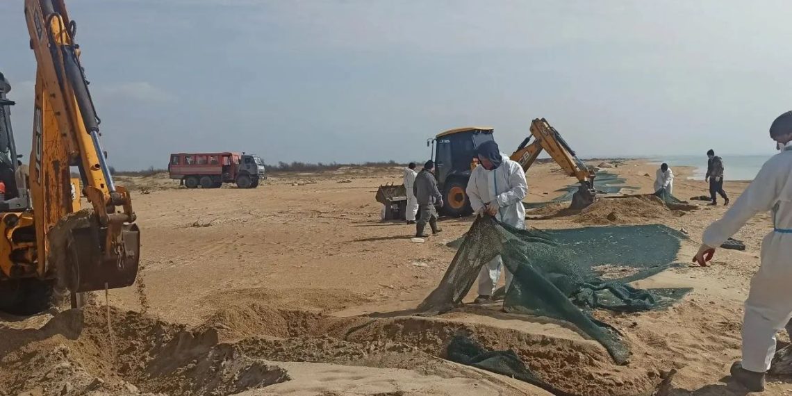Кондратьев: эксперимент по отсыпке песка в Анапе показал свою эффективность