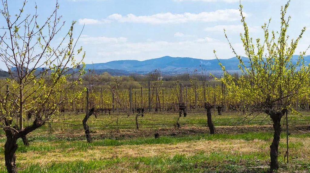 Прогноз погоды на 18 и 19 марта на Кубани