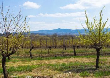 Прогноз погоды на 18 и 19 марта на Кубани