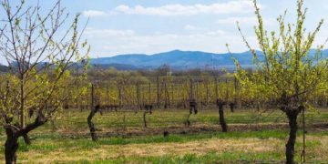 Прогноз погоды на 18 и 19 марта на Кубани