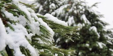 В горах Сочи ожидается сильный снегопад 6 марта