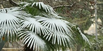 В предгорьях Сочи ожидается налипание мокрого снега 4 марта