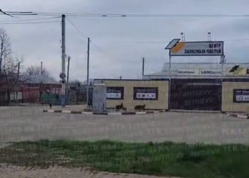 В Армавире стая собак напала на ребенка на самокате