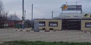 В Армавире стая собак напала на ребенка на самокате