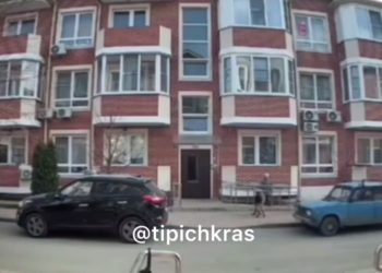 В Краснодаре овчарка напала на ребенка