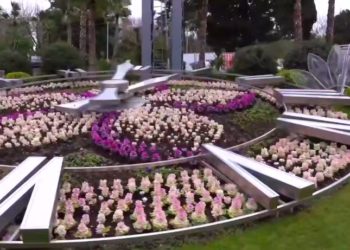 Прошунин: на клумбах в Сочи высадили 580 тысяч цветов