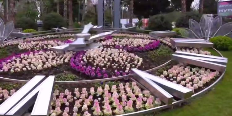 Прошунин: на клумбах в Сочи высадили 580 тысяч цветов