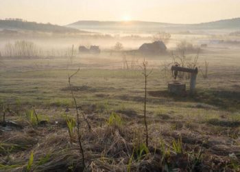 Весенняя погода придет на Кубань в середине недели: прогноз на 11 марта