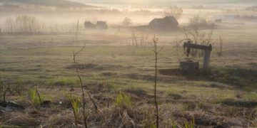 Весенняя погода придет на Кубань в середине недели: прогноз на 11 марта