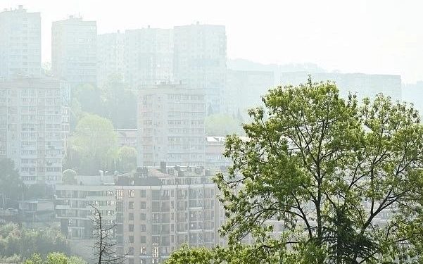 В Сочи и Сириусе ожидается туман 25 марта