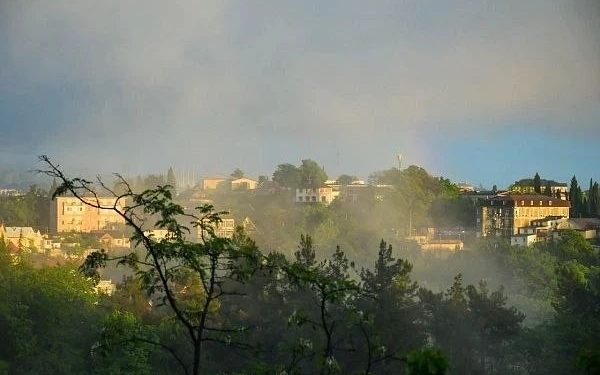 В Сочи и Сириусе ожидается туман 22 марта