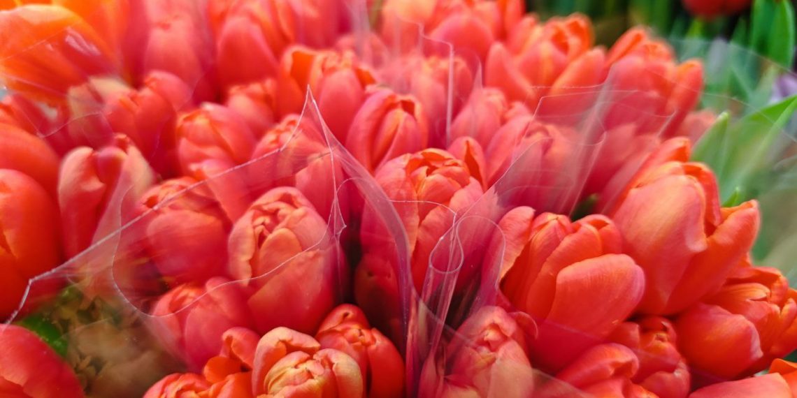 Мэр Андрей Прошунин поздравил сочинок с 8 Марта