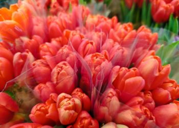 Мэр Андрей Прошунин поздравил сочинок с 8 Марта