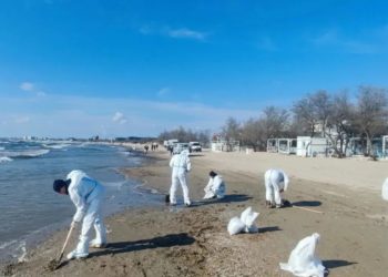 Загрязнённый участок на центральном пляже Анапы очистят в течение суток