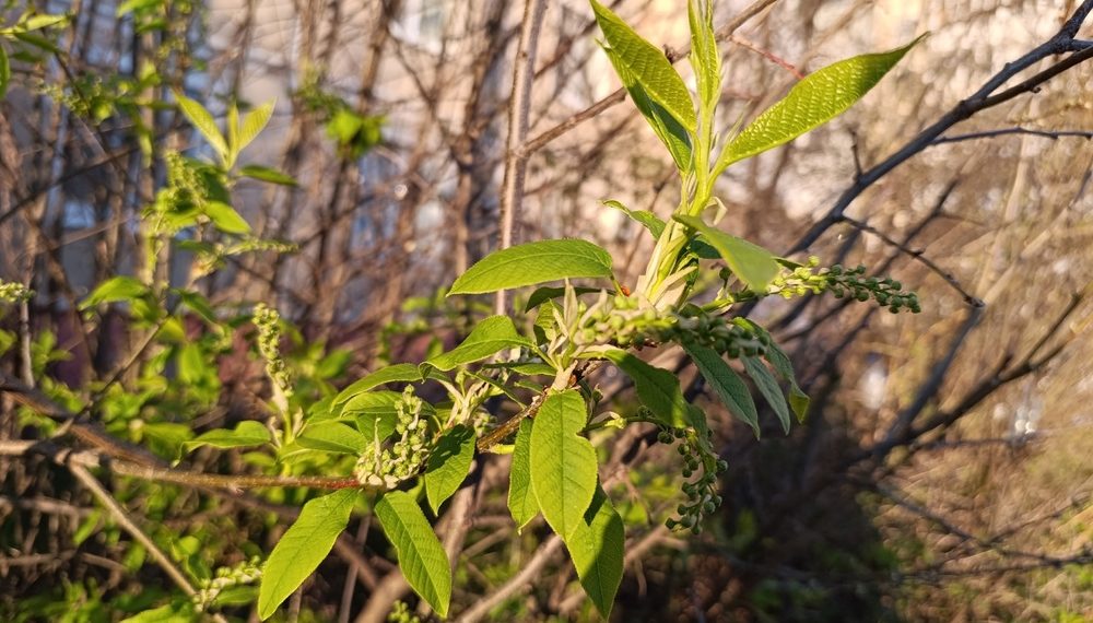 Стал известен прогноз погоды на пятницу 17 апреля в Краснодарском крае