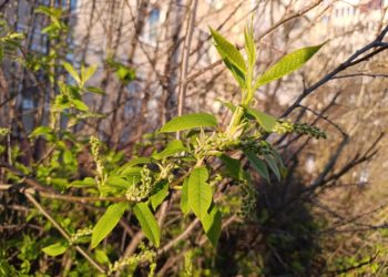 Стал известен прогноз погоды на пятницу 17 апреля в Краснодарском крае