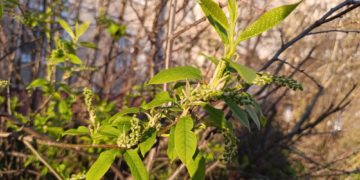 Стал известен прогноз погоды на пятницу 17 апреля в Краснодарском крае