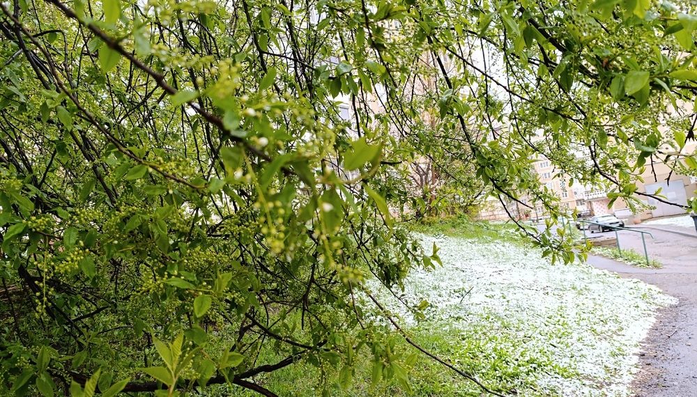 Прогноз погоды на среду, 29 апреля, в Краснодарском крае