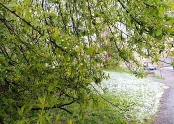 Прогноз погоды на среду, 29 апреля, в Краснодарском крае