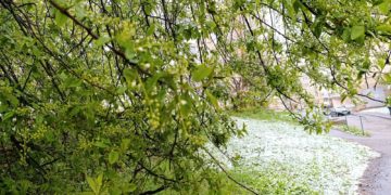 Прогноз погоды на среду, 29 апреля, в Краснодарском крае