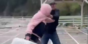 В Туапсе неизвестный напал на волонтеров, вывозивших с пляжа животных