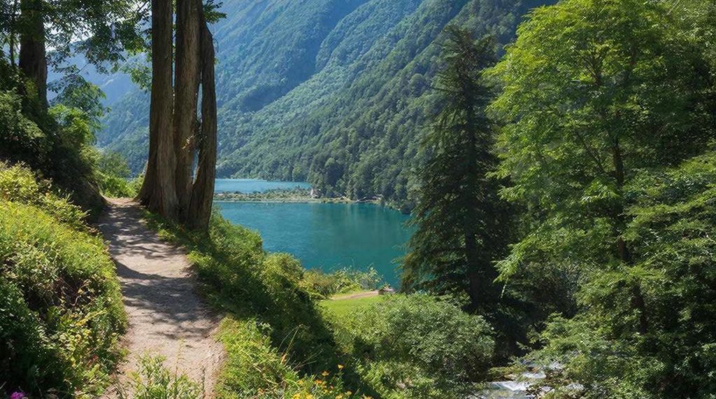 С 1 мая вход в Сочинский нацпарк через главные горные курорты станет платным